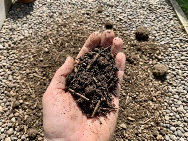 Compost