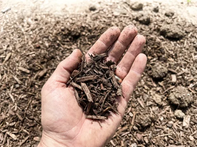 Mulch