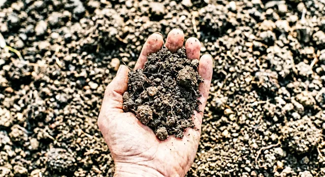 Garden Soil