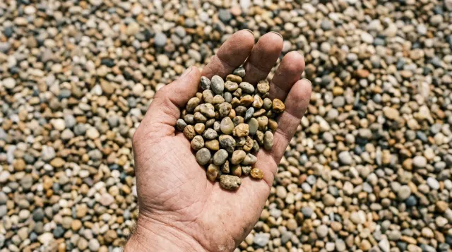 Pea Stone