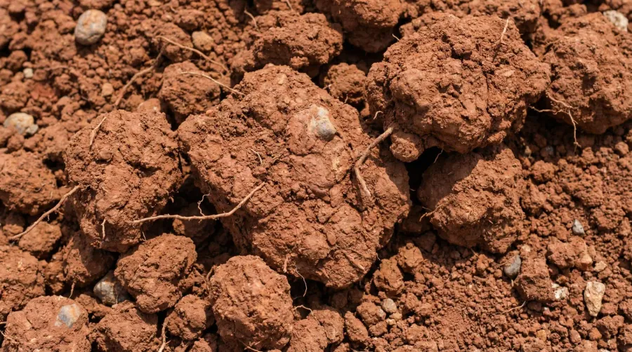 Close-up photo of fill dirt showing dense, clay-rich composition