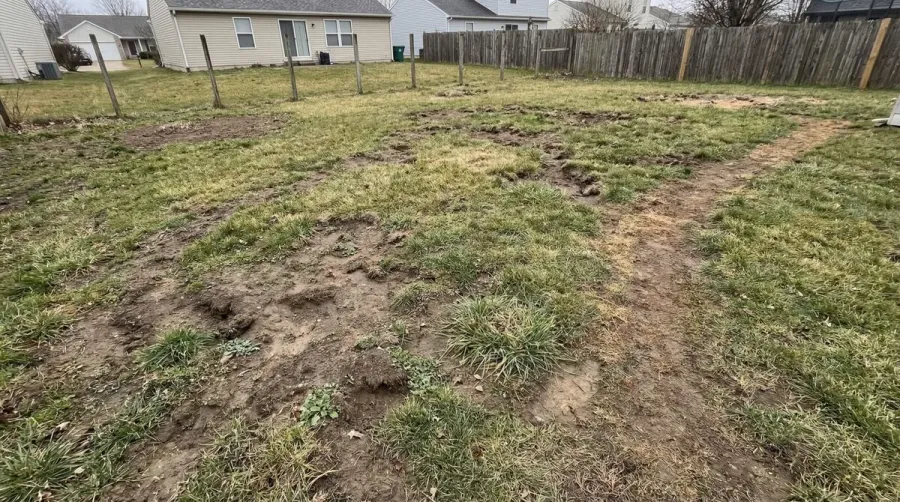 Uneven lawn with low spots and grass patches