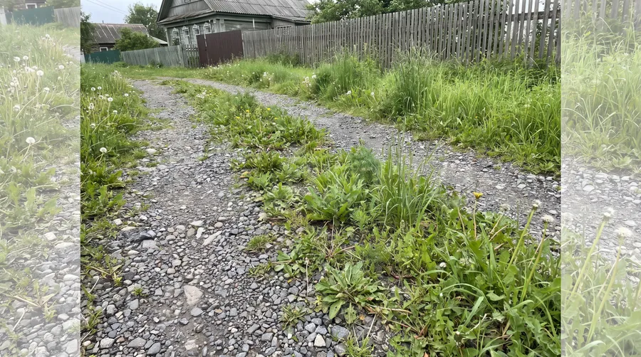Gravel driveway with weeds before treatment