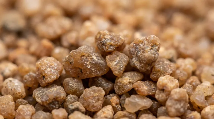 Close-up view of fill sand texture showing grain structure