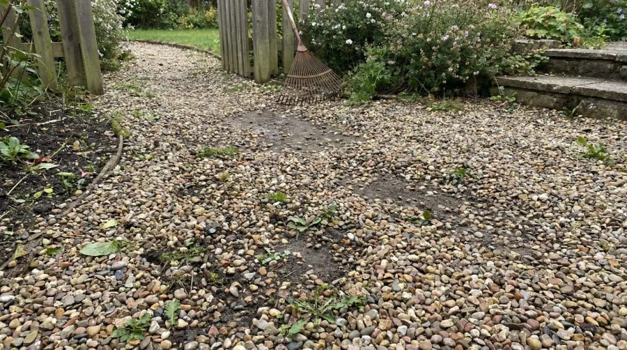 Pea gravel scattered on pathway showing maintenance challenges