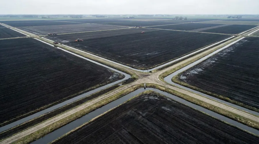 Aerial view of muck farm with dark soil fields and drainage ditches