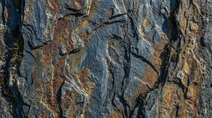 Close-up of bluestone texture showing natural cleft surface