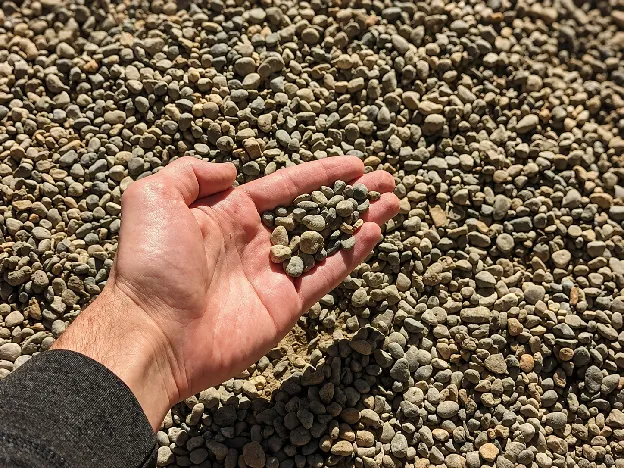 Handful of rounded 3/8 inch pea gravel held above a pile of pea gravel