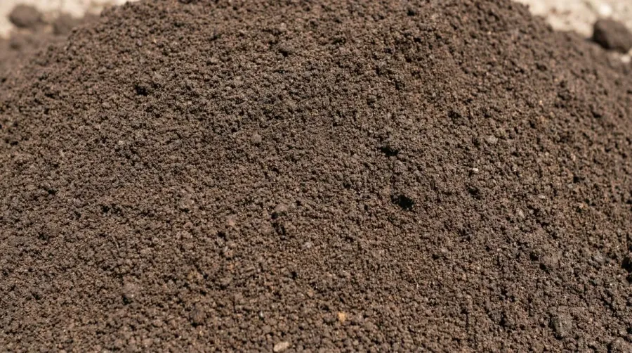 High quality screened fill dirt showing consistent texture