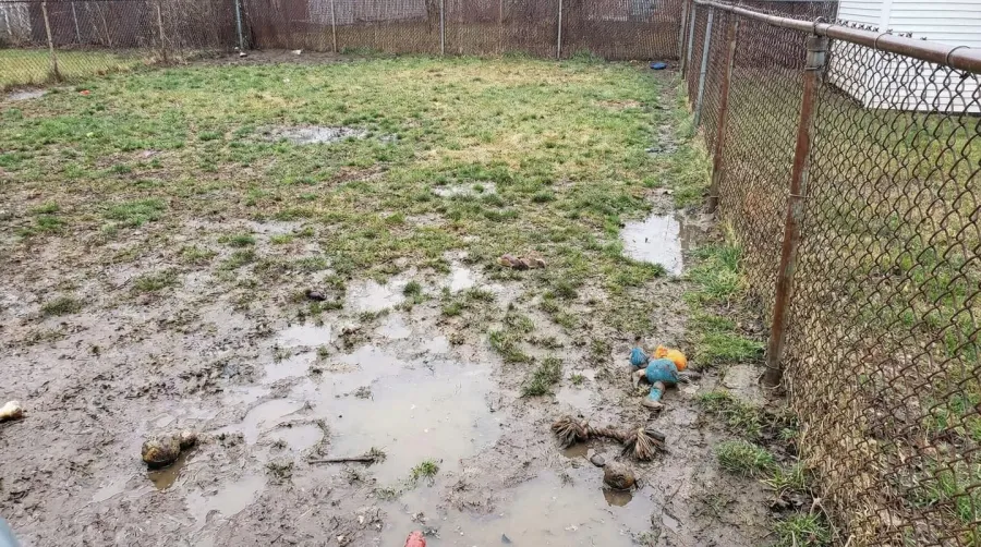 Before and after photo of muddy yard converted to pea gravel dog run