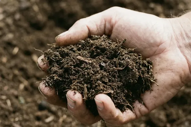 Handful of dark, crumbly topsoil held above a bed of screened soil