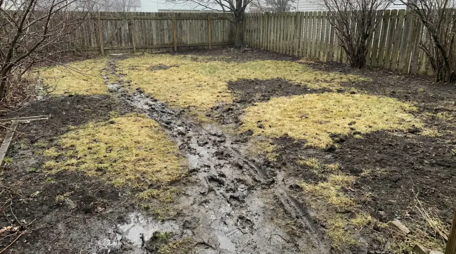 muddy backyard with dog tracks and worn grass patches showing common yard problems