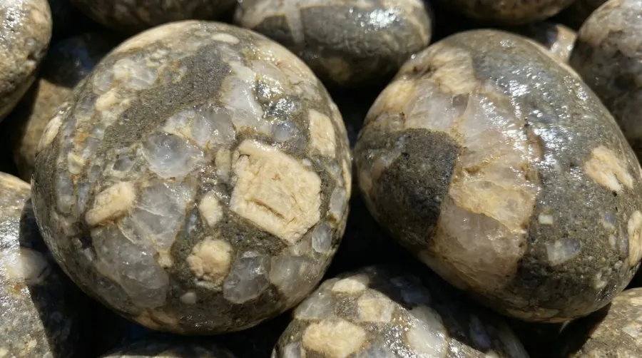 Close-up of South Carolina river rock showing quartz and feldspar composition