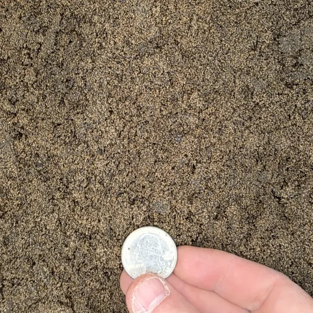50/50 Blended Soil — photo 2