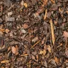 Pine Bark Mulch thumbnail 3