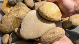 Tennessee River Slicks thumbnail 4