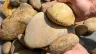 Tennessee River Slicks thumbnail 4