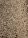 Leveling Sand thumbnail 2