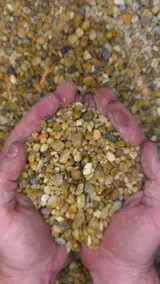 Golden Pea Gravel thumbnail 2