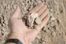 Road Base thumbnail 4