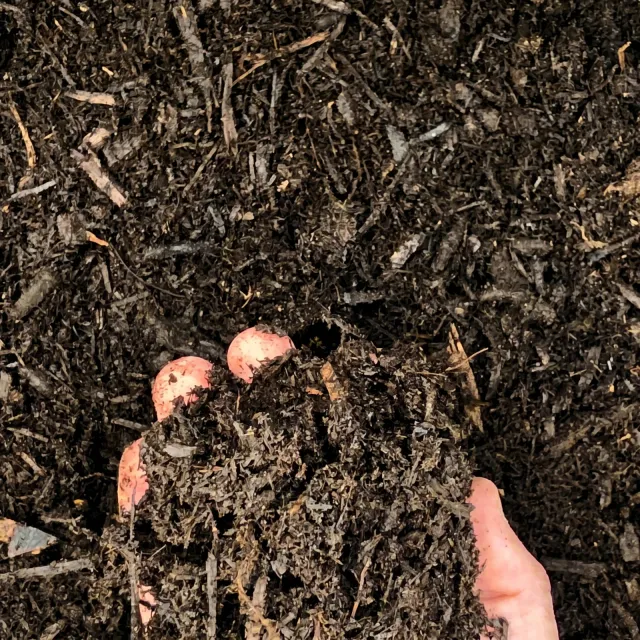 Compost Soil — photo 4