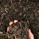 Compost Soil thumbnail 4