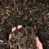 Compost Soil thumbnail 4