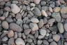 River Rock thumbnail 2