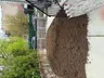 Topsoil thumbnail 7