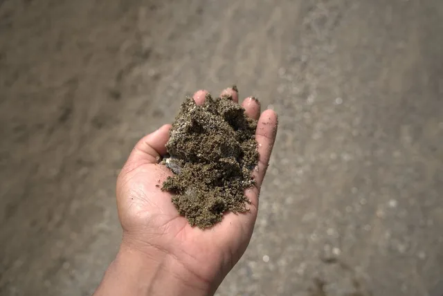 Title V Sand — photo 3