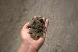 Title V Sand thumbnail 3