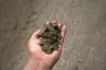 Title V Sand thumbnail 3