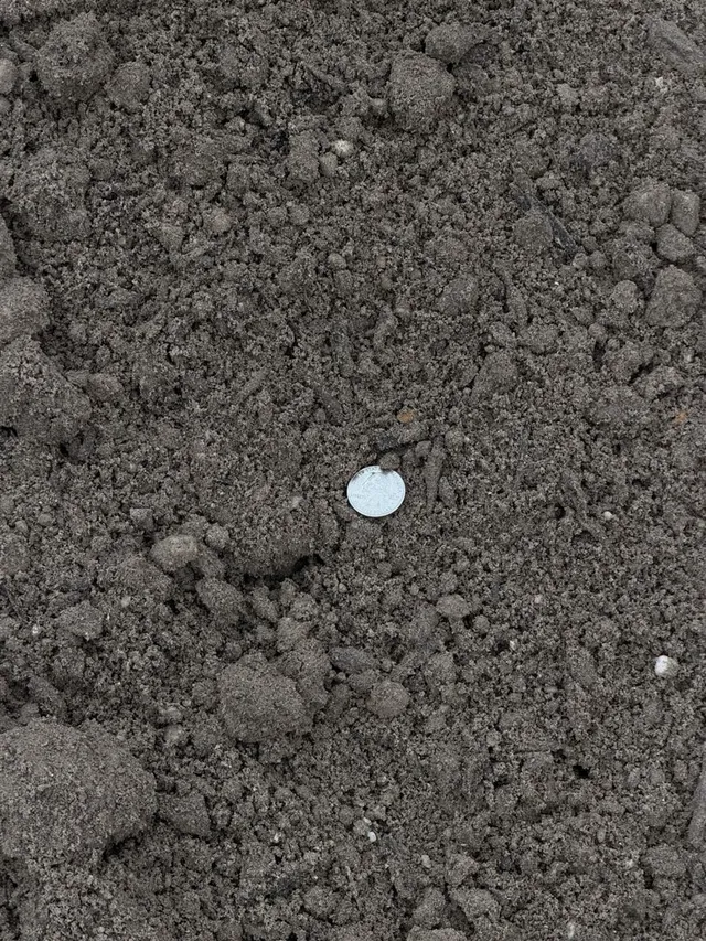 Sandy Soil Mix — photo 2