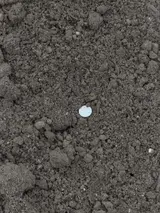 Sandy Soil Mix thumbnail 2