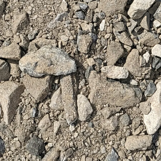 #610 Limestone