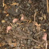 Pine Bark Mulch thumbnail 4