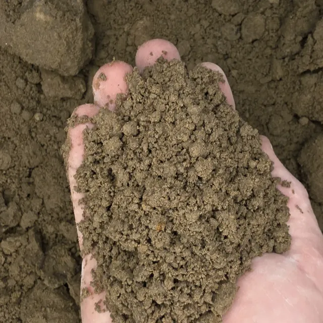Spillway Dirt — photo 3