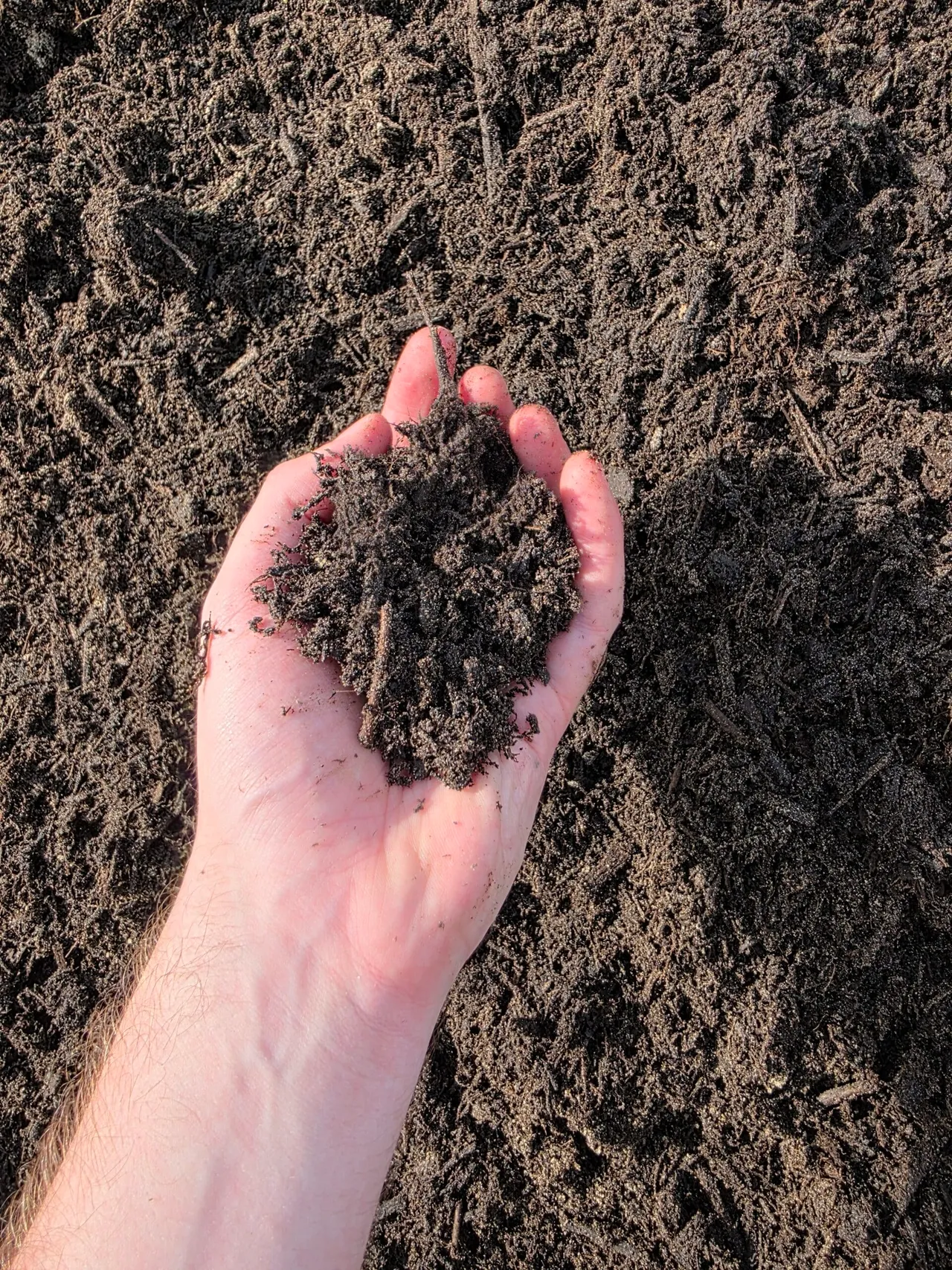 Topsoil vs Garden Soil: What Is the Difference?