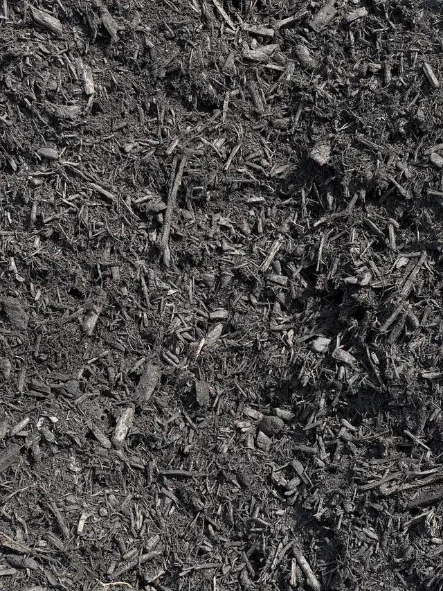 Shredded Black Mulch — photo 3