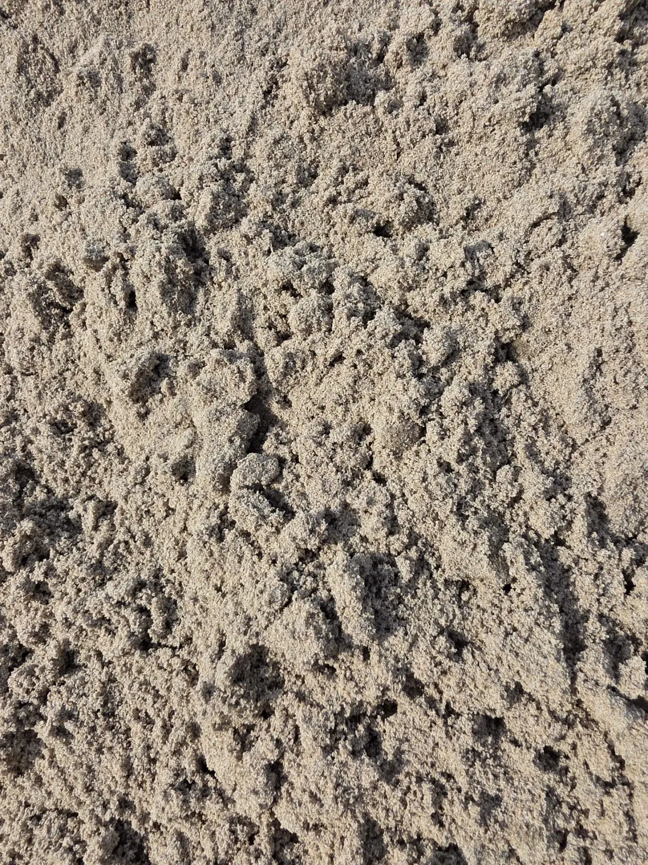 Fill Sand — image 3 of 5