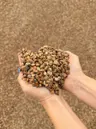 Patio Gravel thumbnail 3
