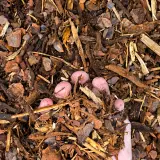 Playground Mulch thumbnail 4