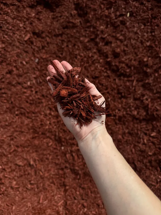 Shredded Red Mulch