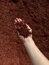 Shredded Red Mulch thumbnail 1