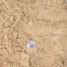 River Sand thumbnail 3
