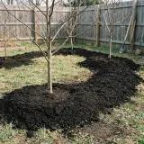 Compost Soil thumbnail 5