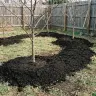 Compost Soil thumbnail 5