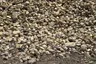 3" to 6" Natural Round River Stone thumbnail 2