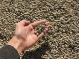 3/8" Natural Pea Gravel thumbnail 1