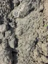 Fill Dirt thumbnail 3